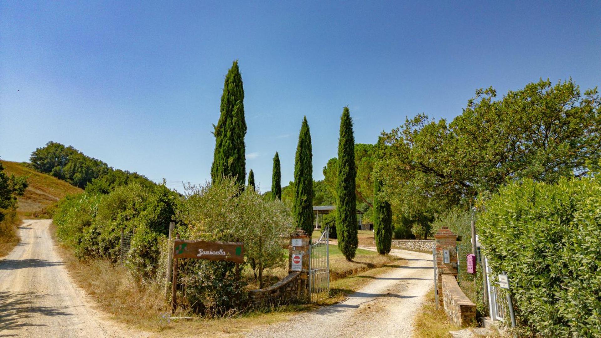 アッシャーノUlivo-Chianti Charming Flat With Private Parking!アパートメント エクステリア 写真